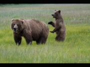 Alaska_Website_Images-36