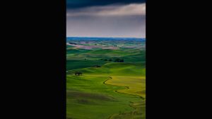 Palouse-23